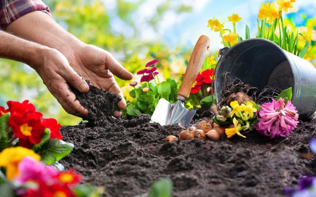 Garden-sharing, condividere il proprio giardino con gli altri. Una splendida opportunità.